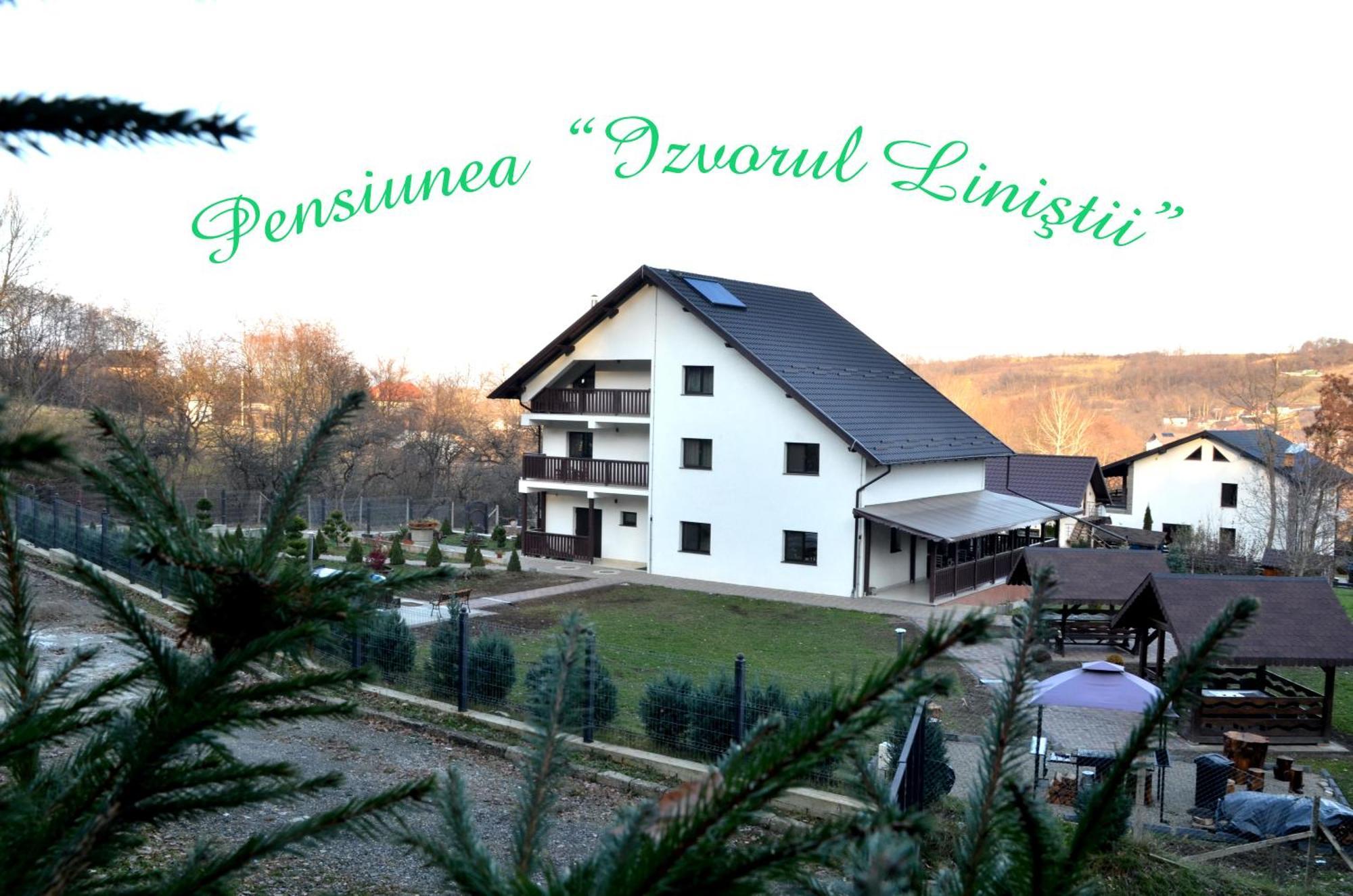 Pensiunea Izvorul Linistii Radaseni Luaran gambar