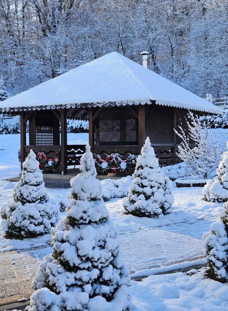 Pensiunea Izvorul Linistii Radaseni Luaran gambar